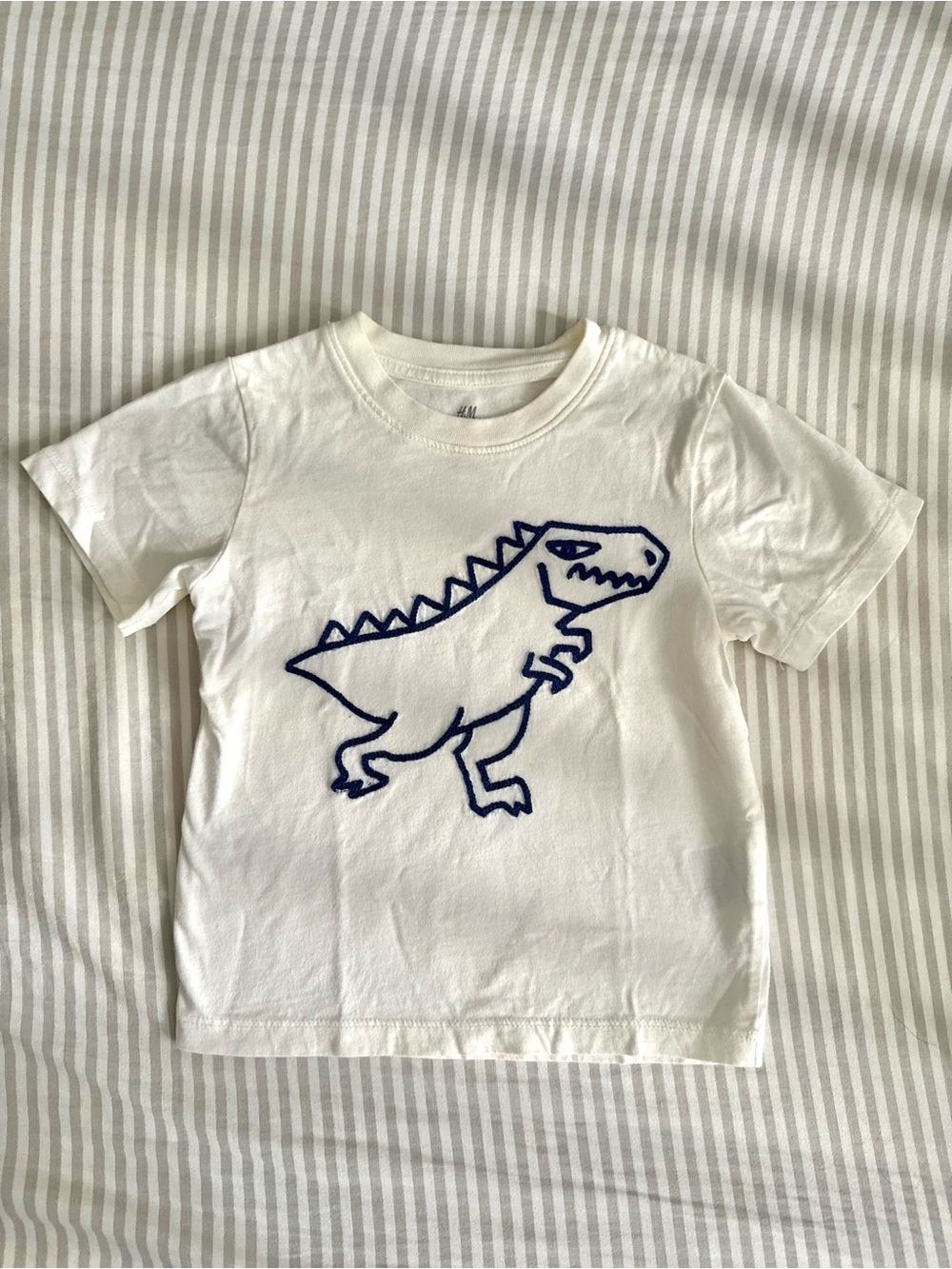 H&M Dinosaur Graphic Tee Size 2T